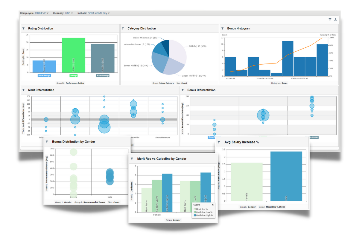 DEI Analytics is a vital part of compensation