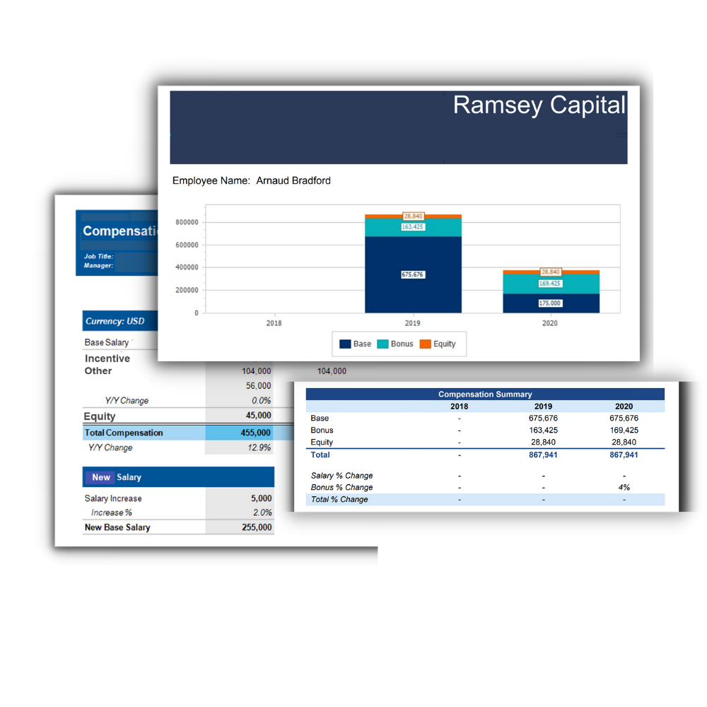 Compensation Management and DEI analytics People Data Chart