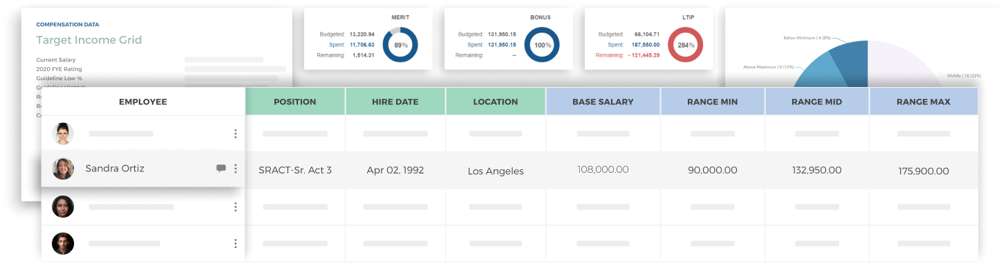 Decusoft Compensation Dashboard Elements